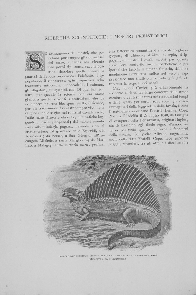 pagina sinistra