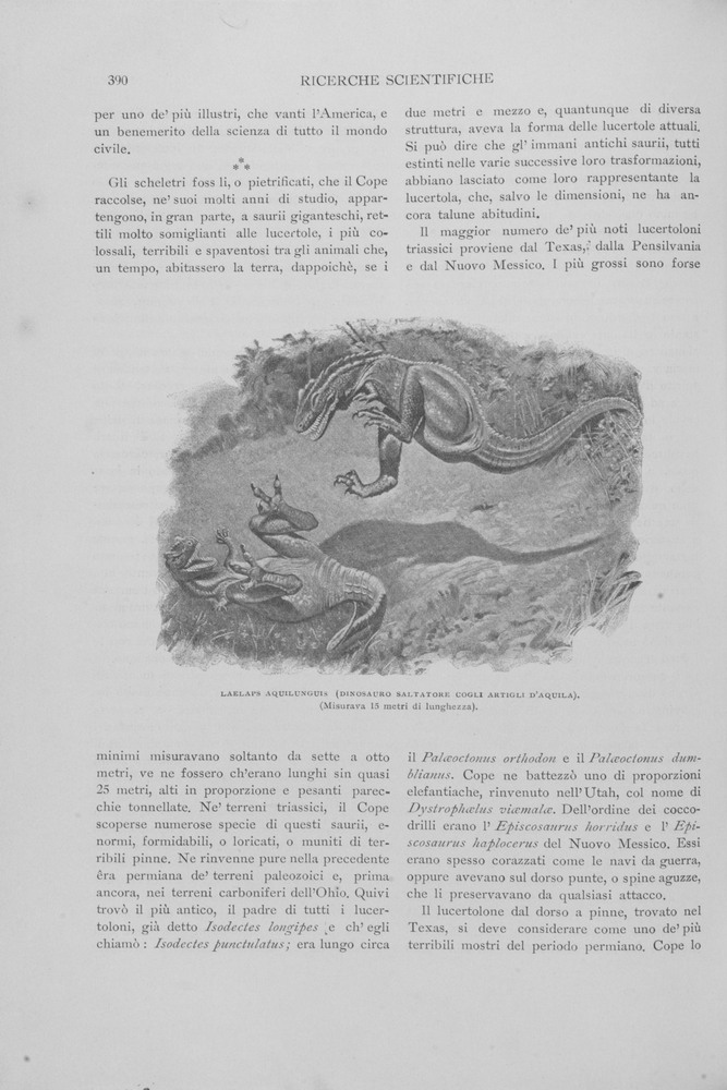pagina sinistra