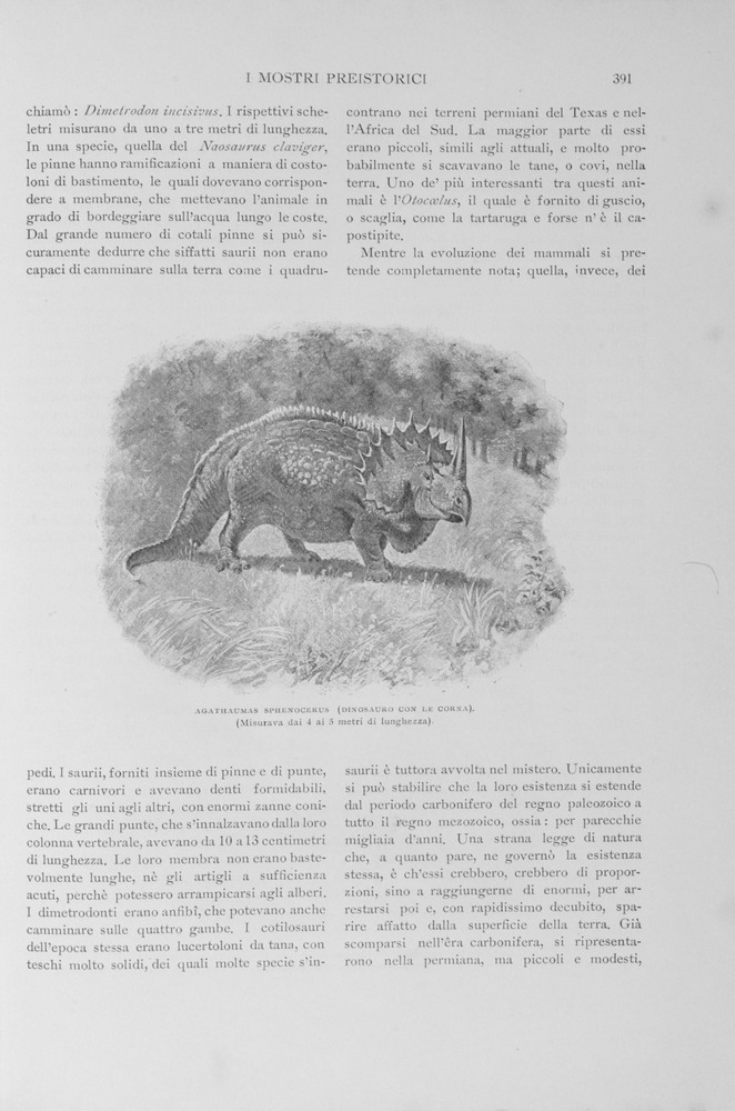 pagina destra