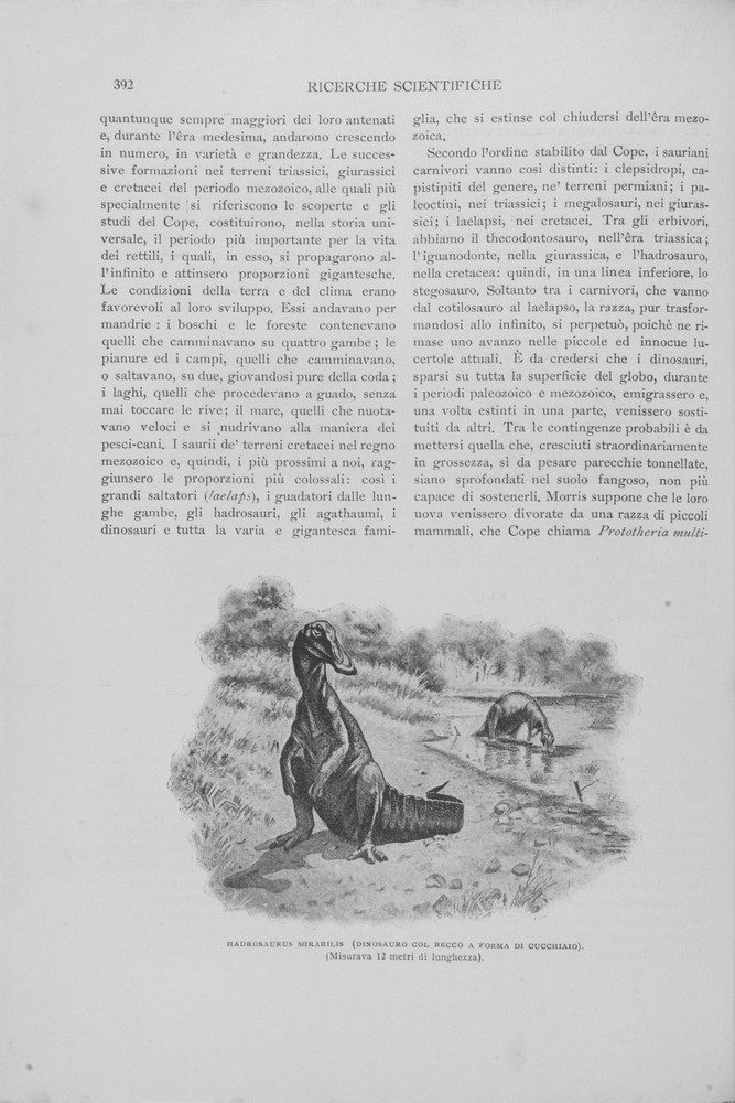pagina sinistra