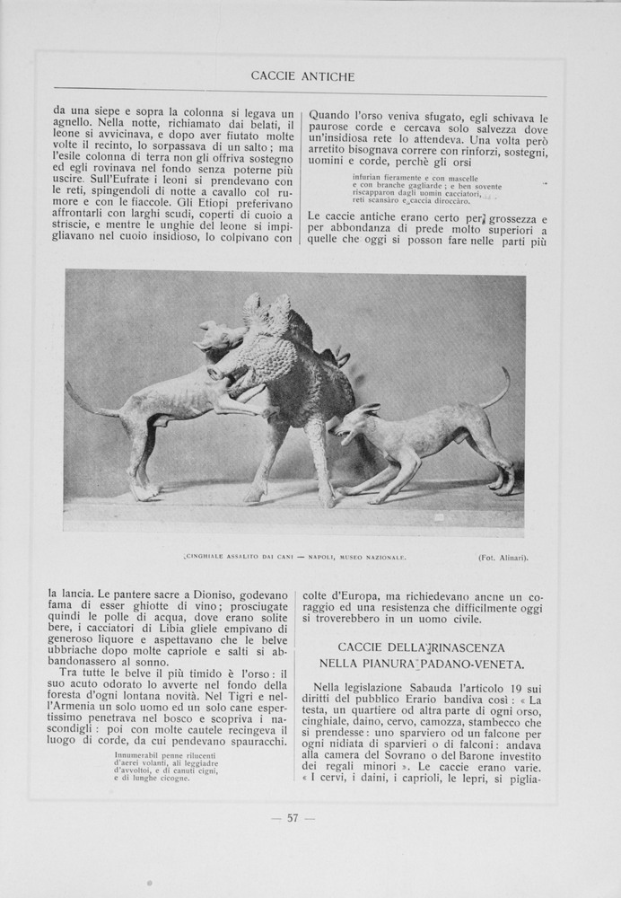 pagina destra