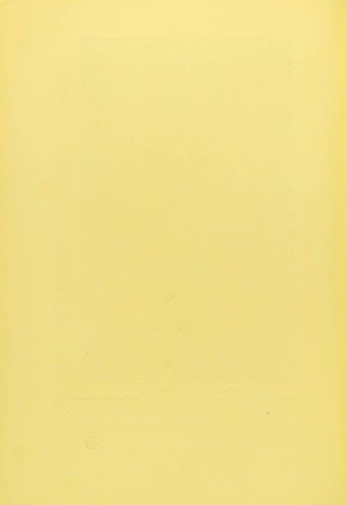 pagina sinistra