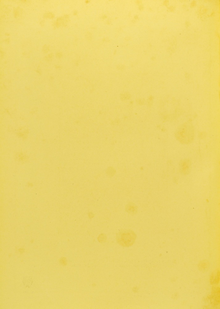 pagina sinistra