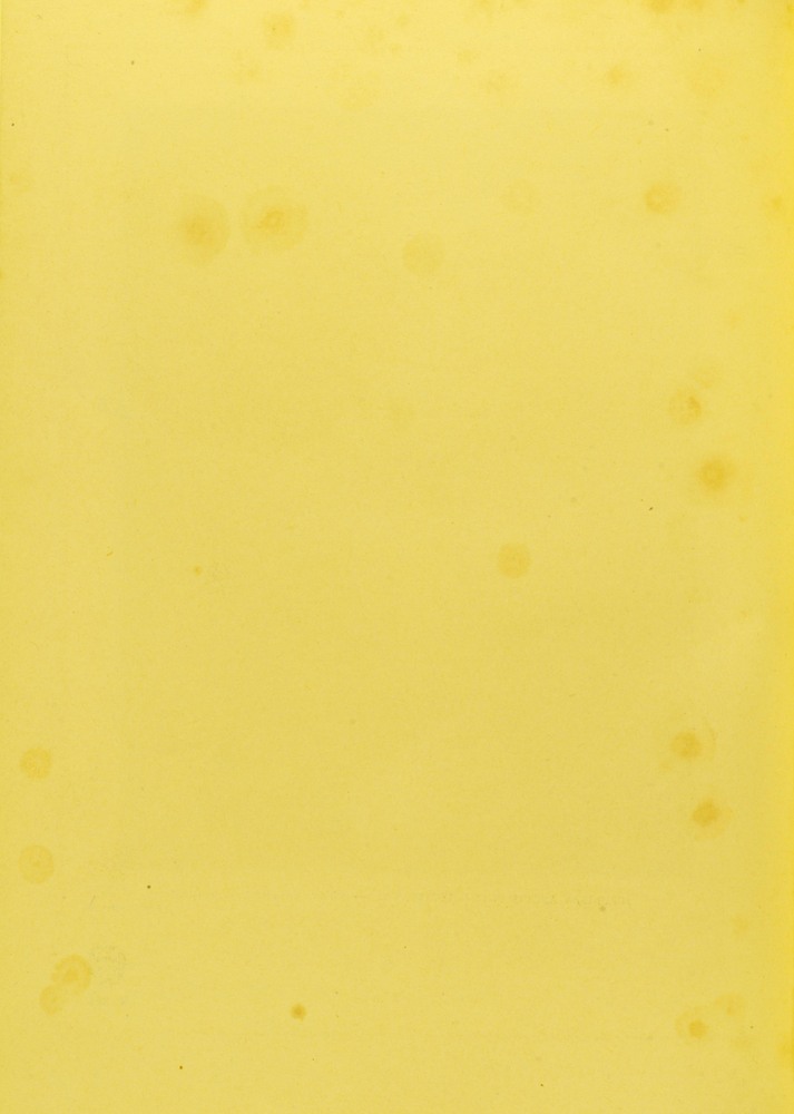 pagina sinistra