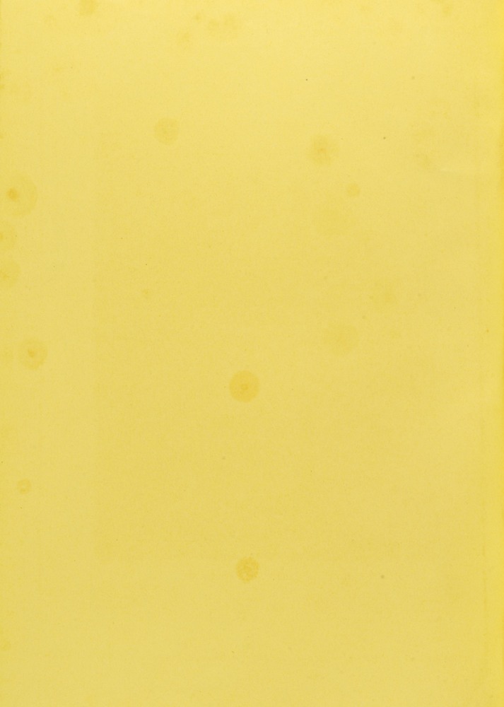 pagina sinistra