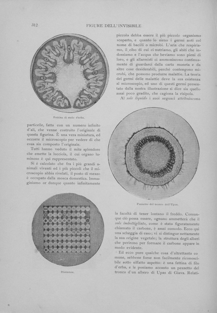 pagina sinistra