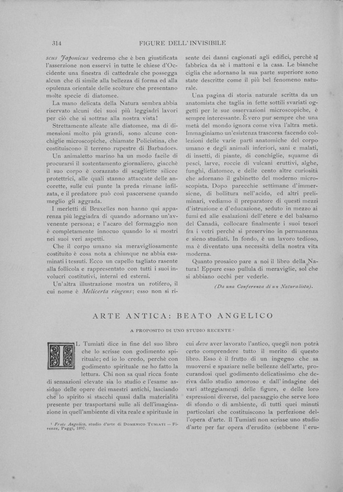 pagina sinistra