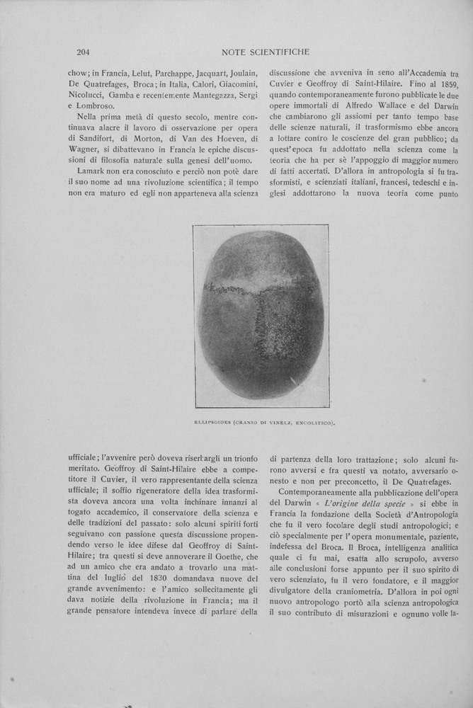pagina sinistra