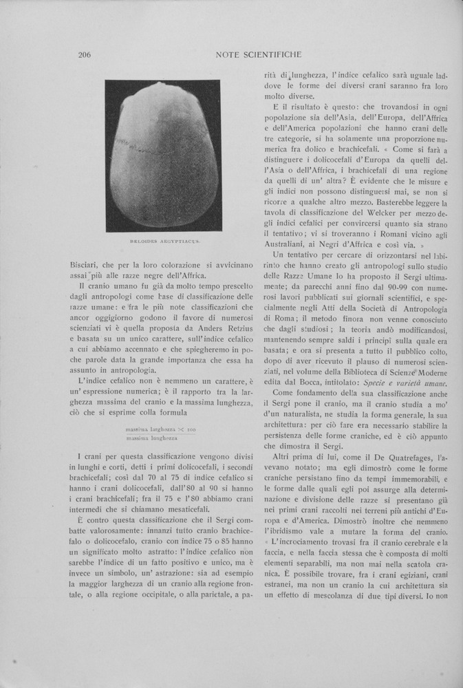 pagina sinistra