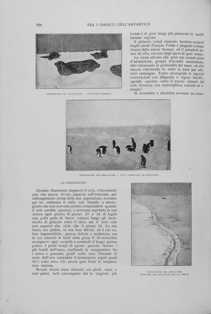 pagina sinistra