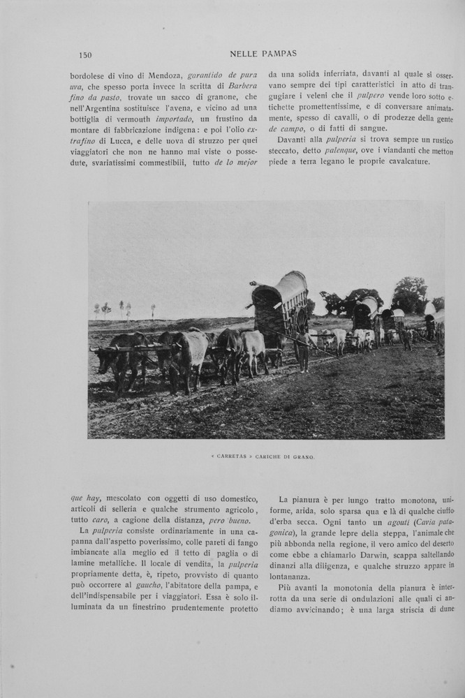 pagina sinistra