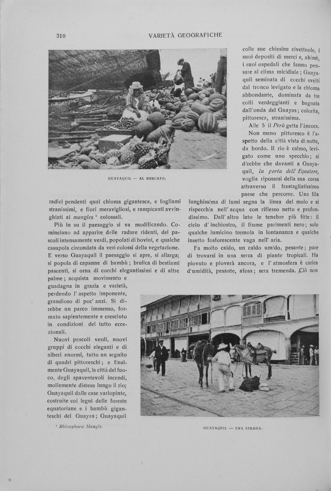 pagina sinistra