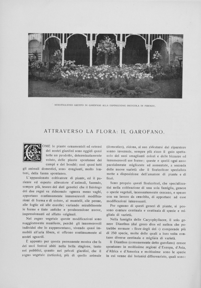 pagina sinistra