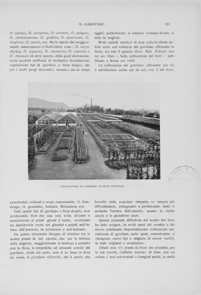 pagina destra