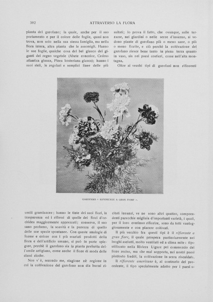 pagina sinistra