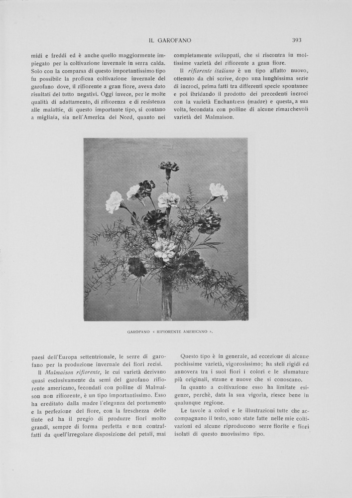 pagina destra