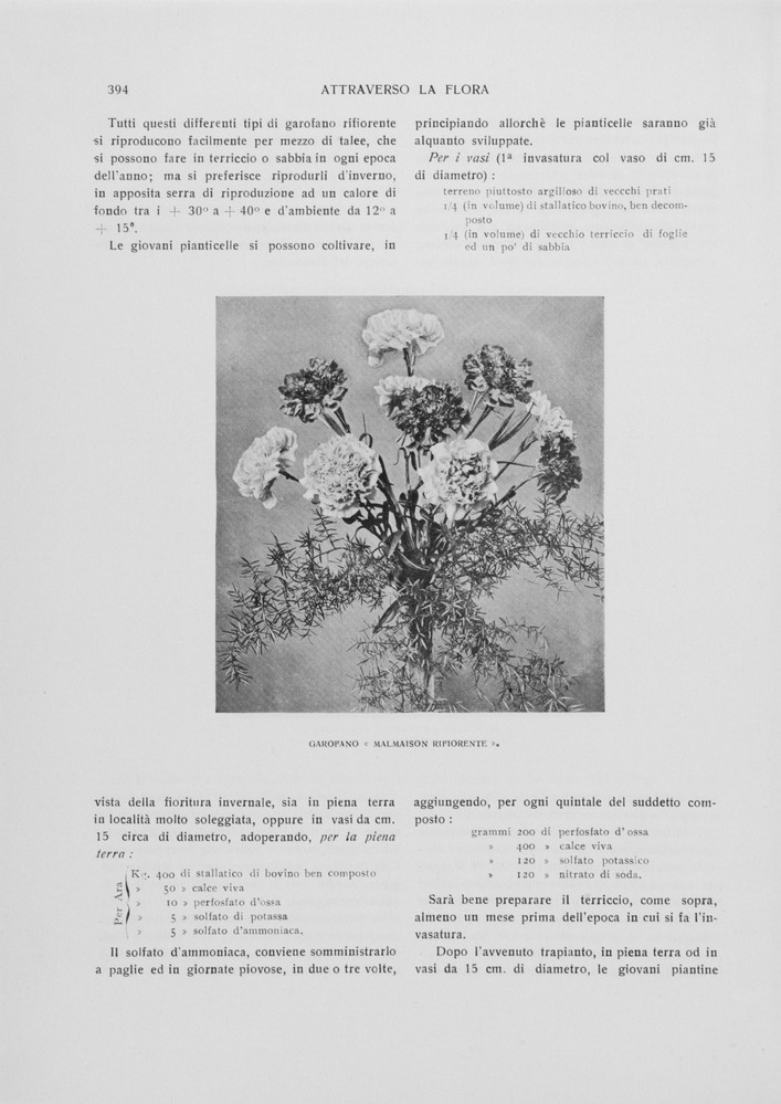 pagina sinistra