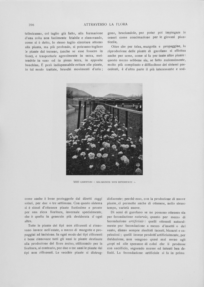 pagina sinistra