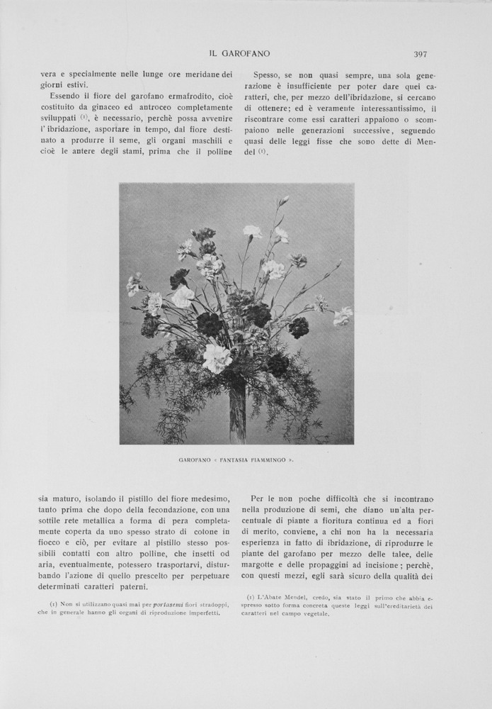 pagina destra