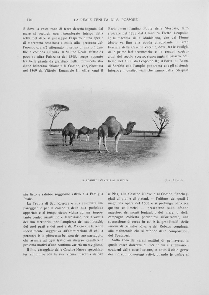 pagina sinistra