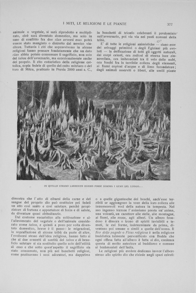 pagina destra