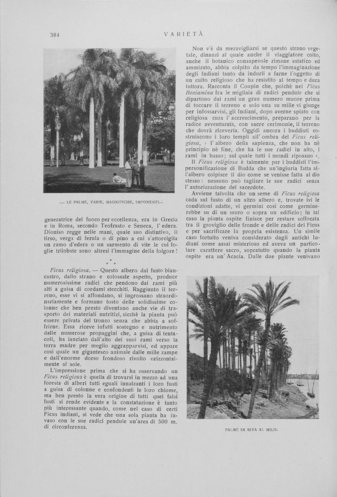 pagina sinistra