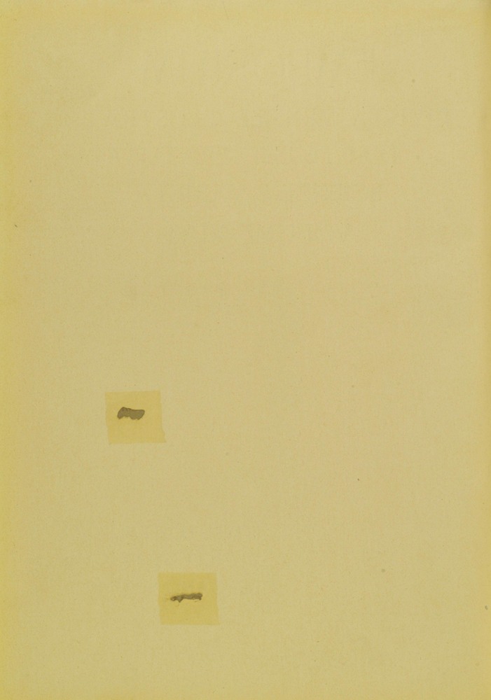 pagina sinistra