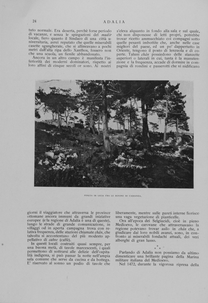 pagina sinistra