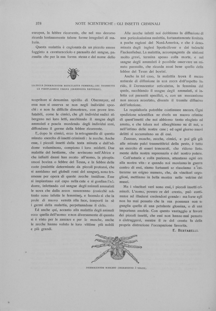 pagina sinistra