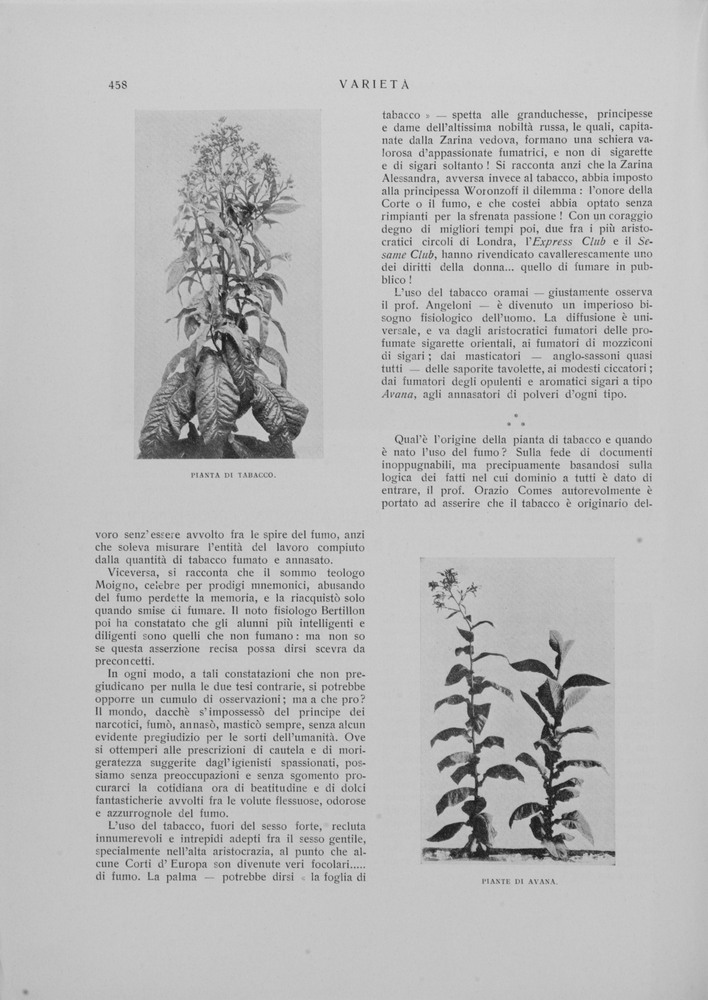pagina sinistra