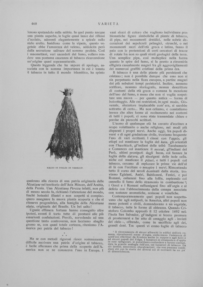 pagina sinistra