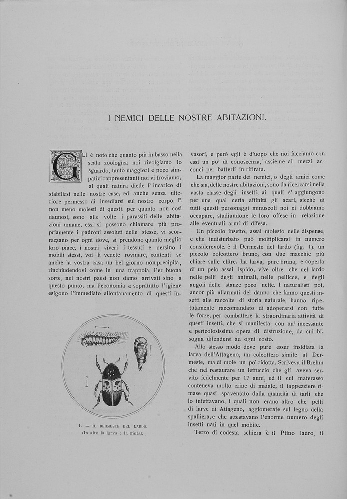 pagina sinistra