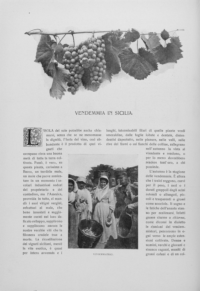 pagina sinistra