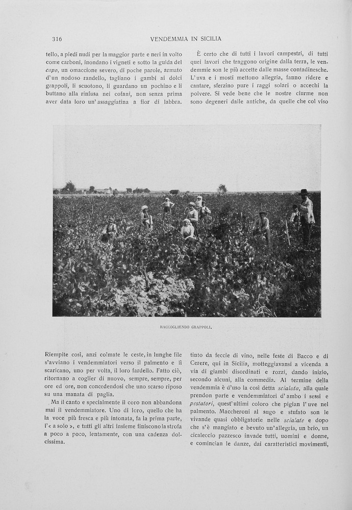 pagina sinistra