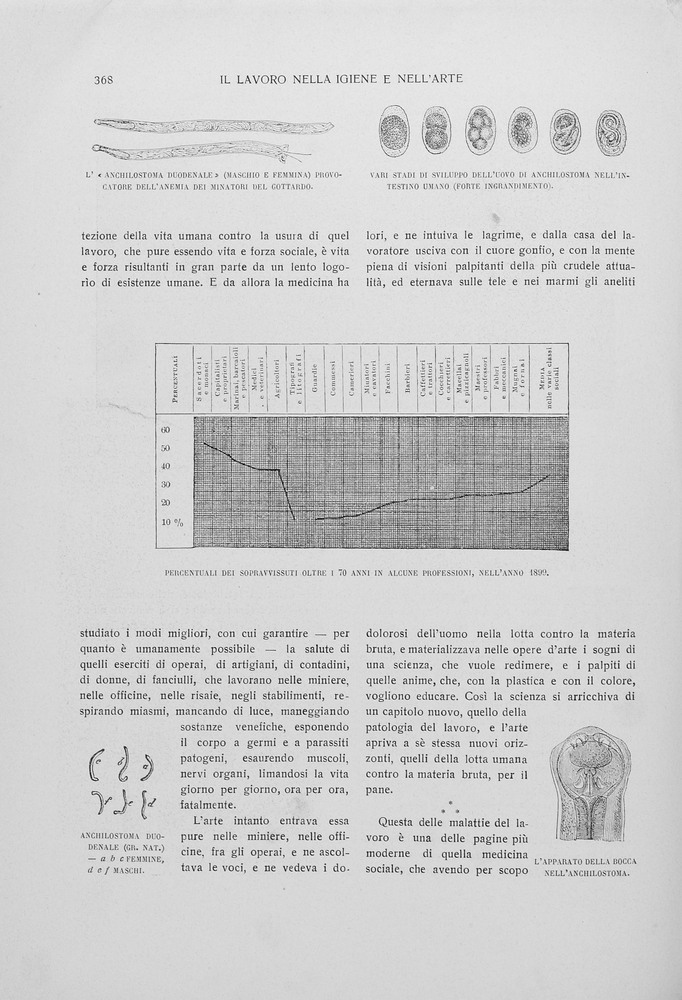 pagina sinistra