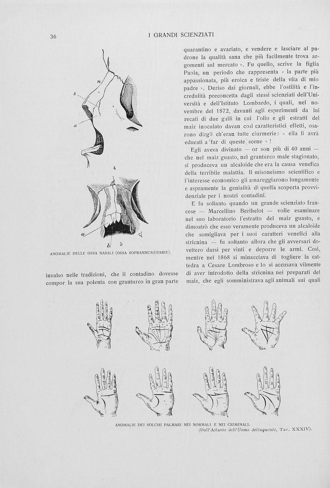 pagina sinistra