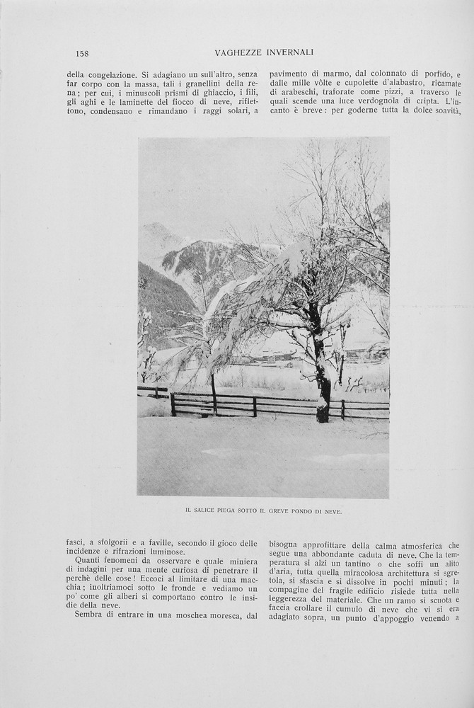 pagina sinistra