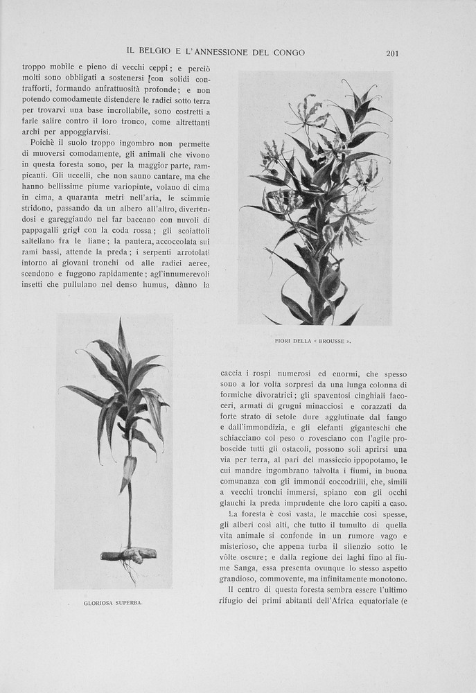 pagina destra