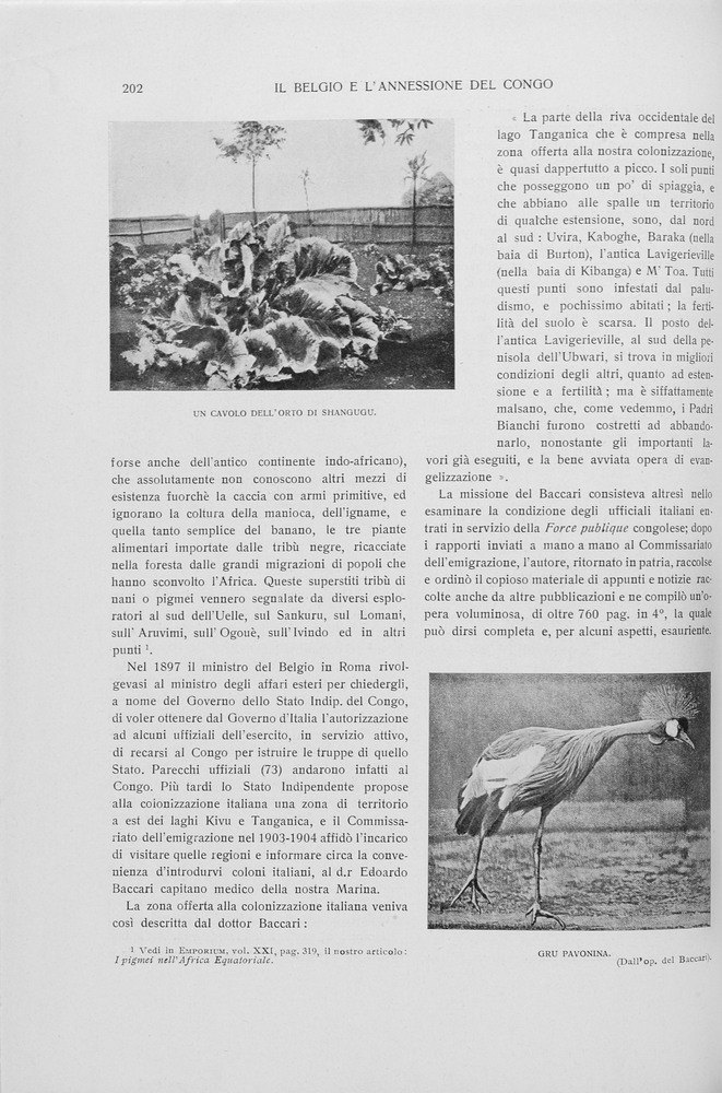 pagina sinistra