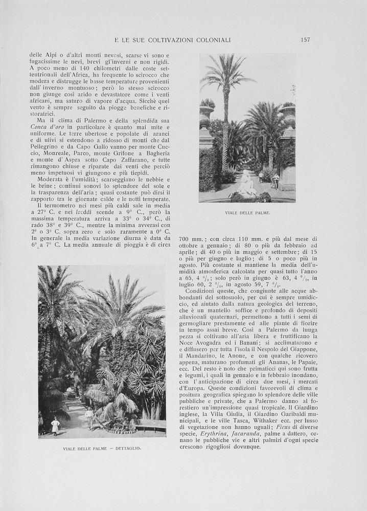 pagina destra