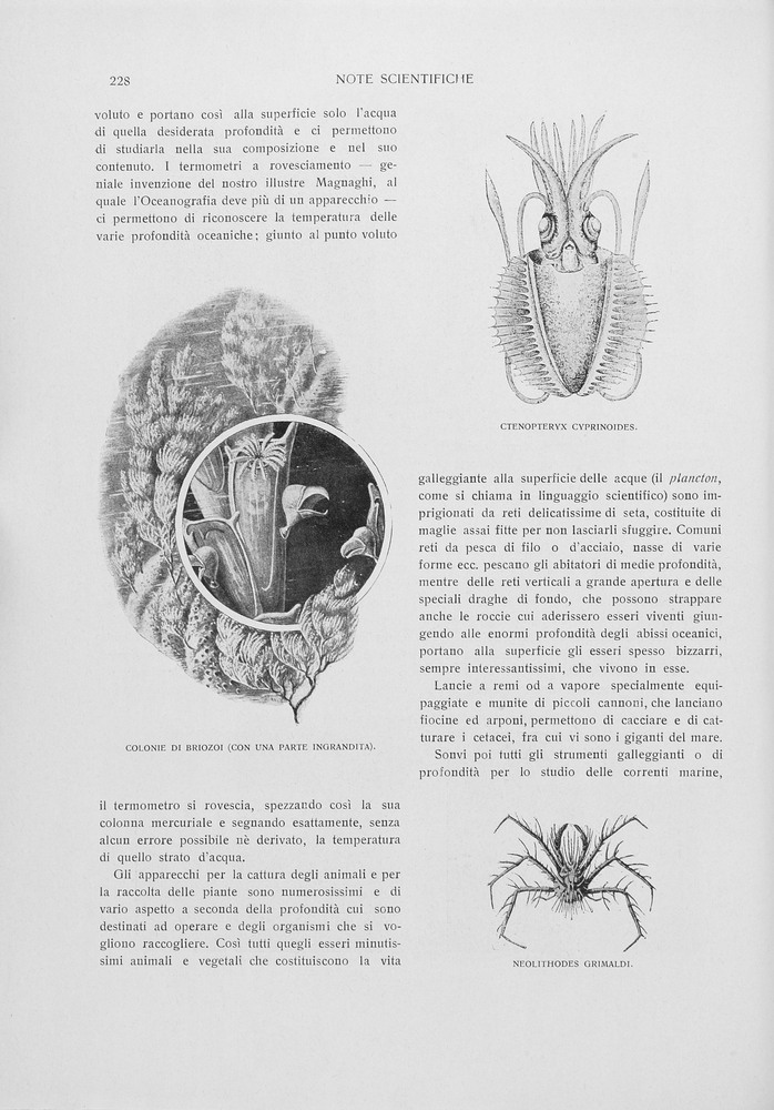 pagina sinistra
