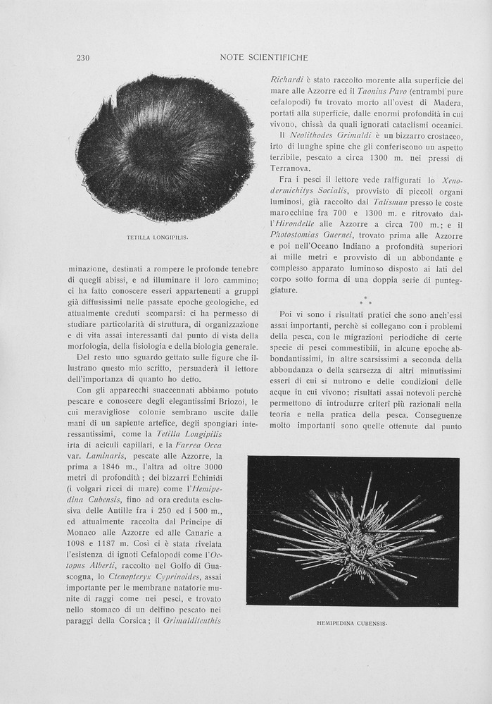 pagina sinistra