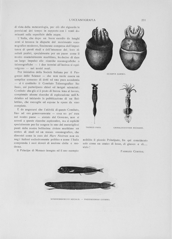 pagina destra