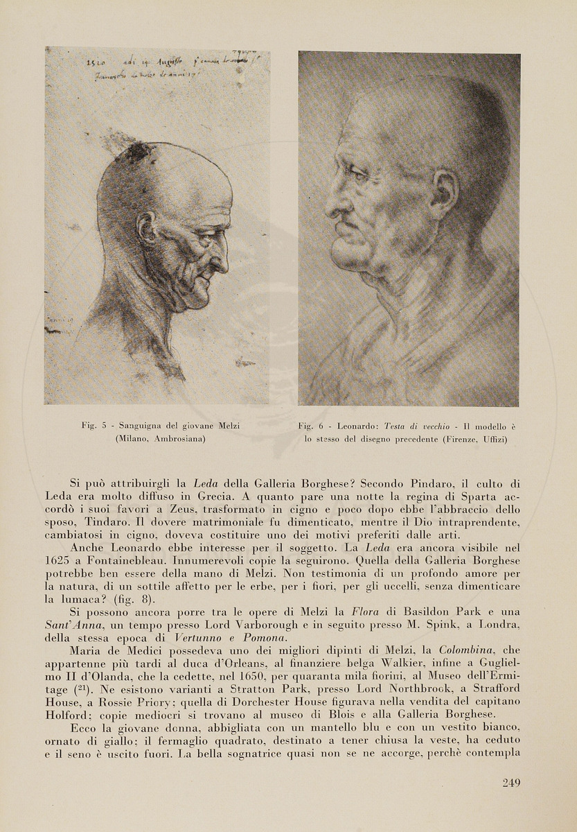 pagina