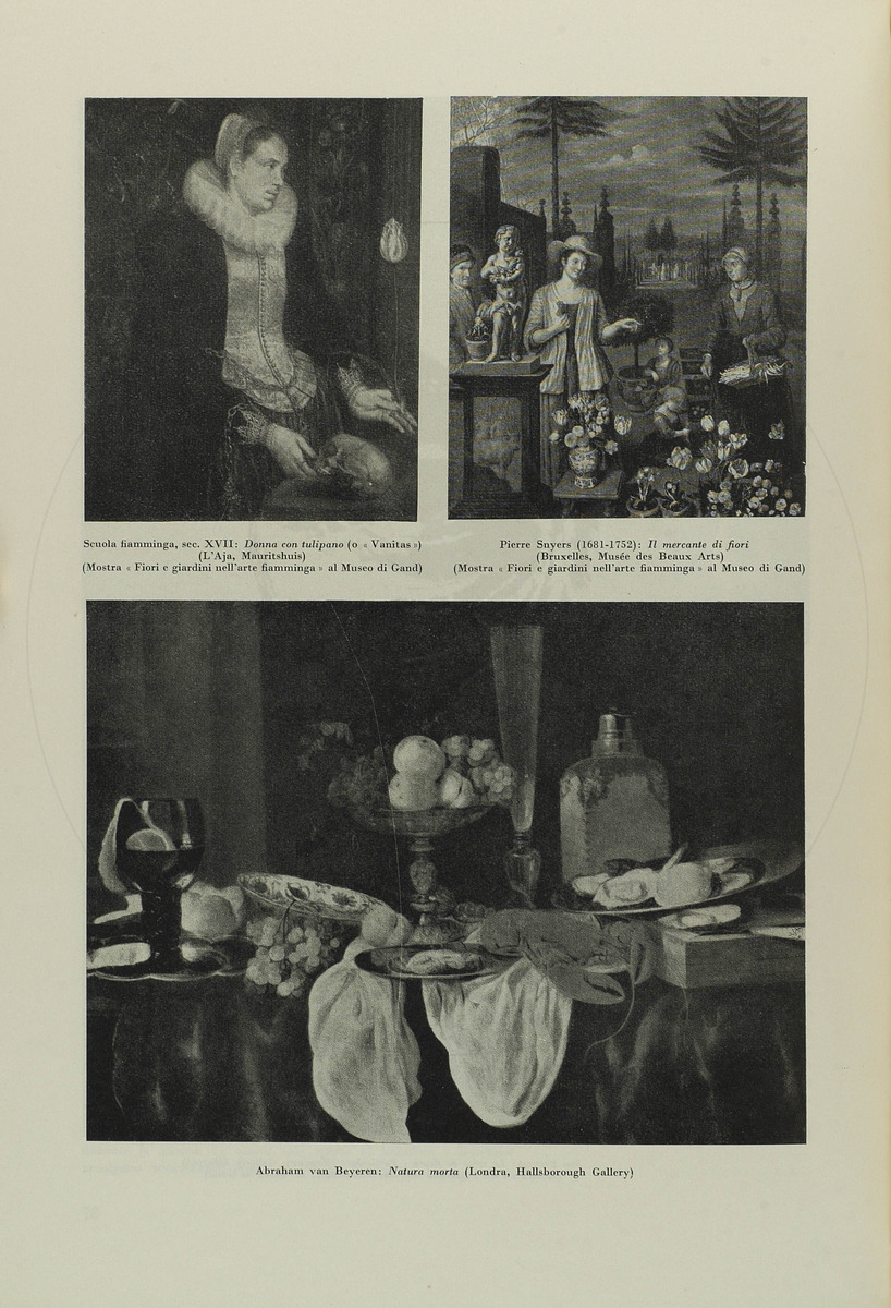 pagina