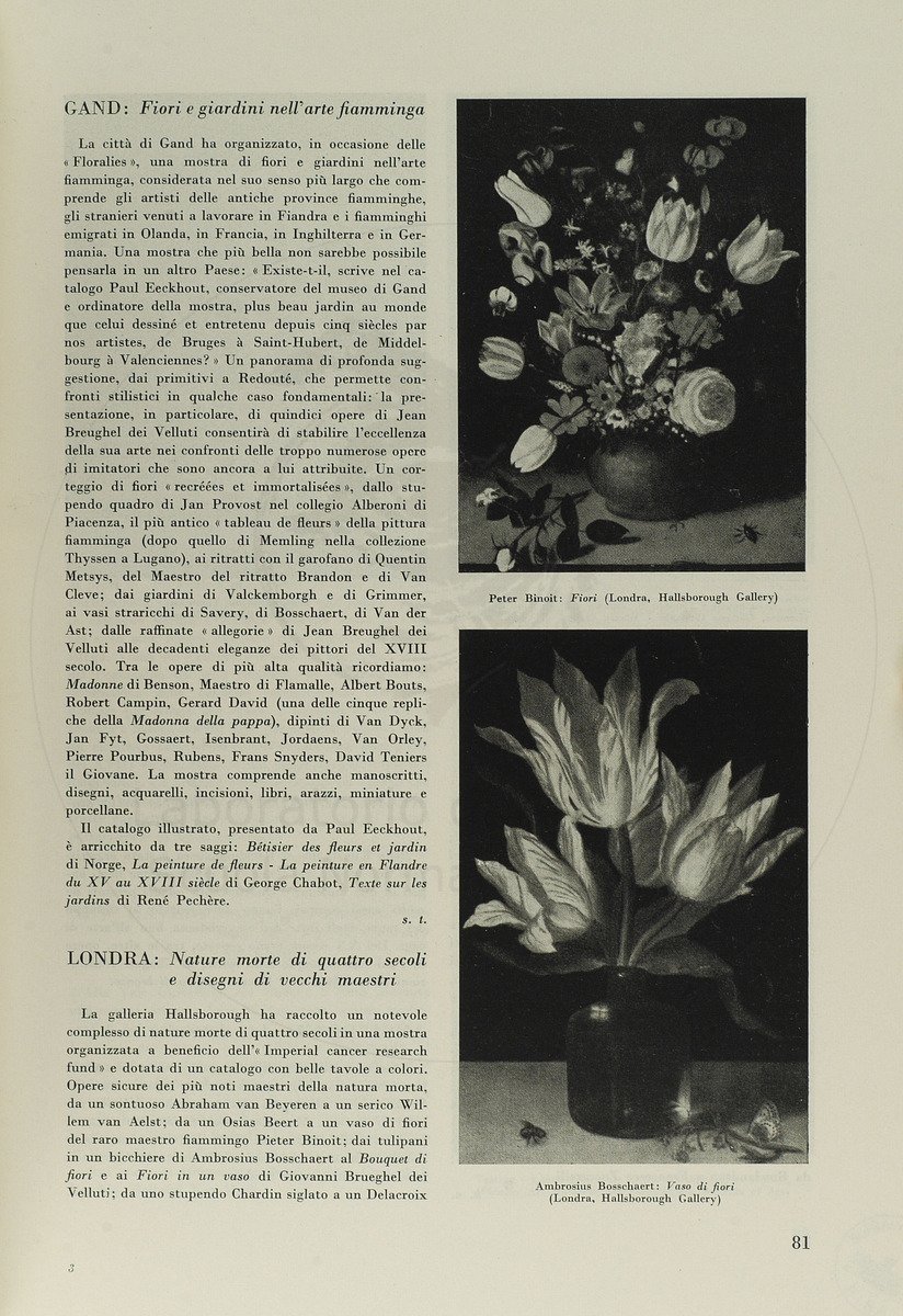 pagina
