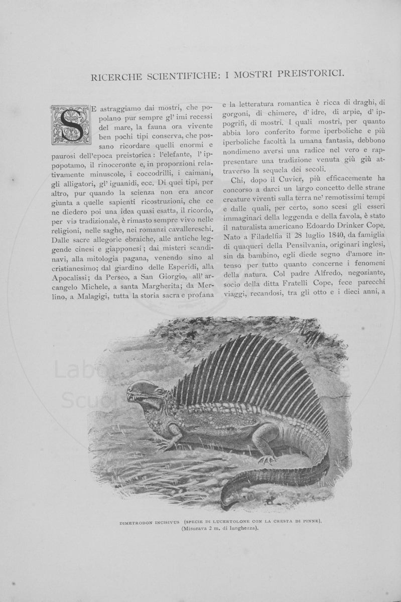 pagina