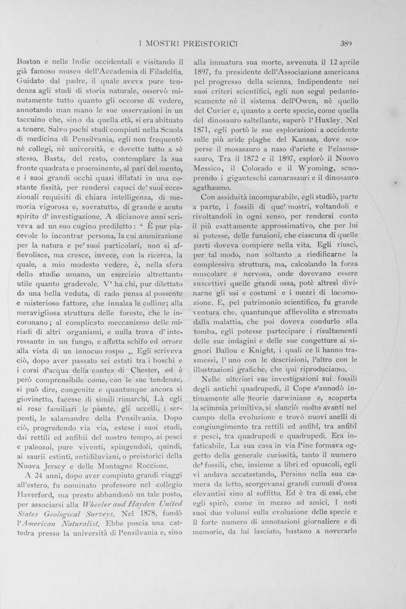 pagina