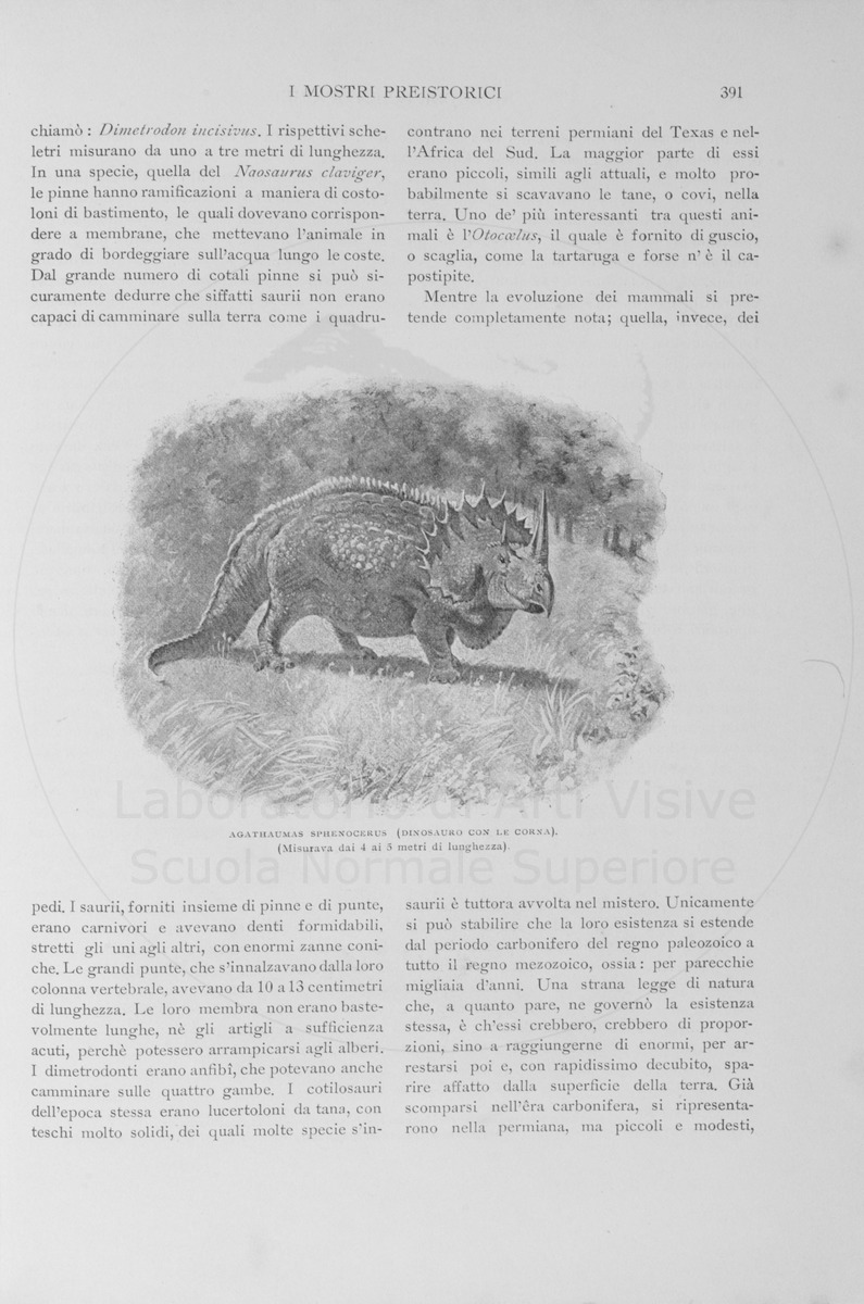 pagina