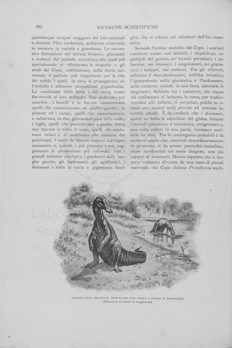 pagina